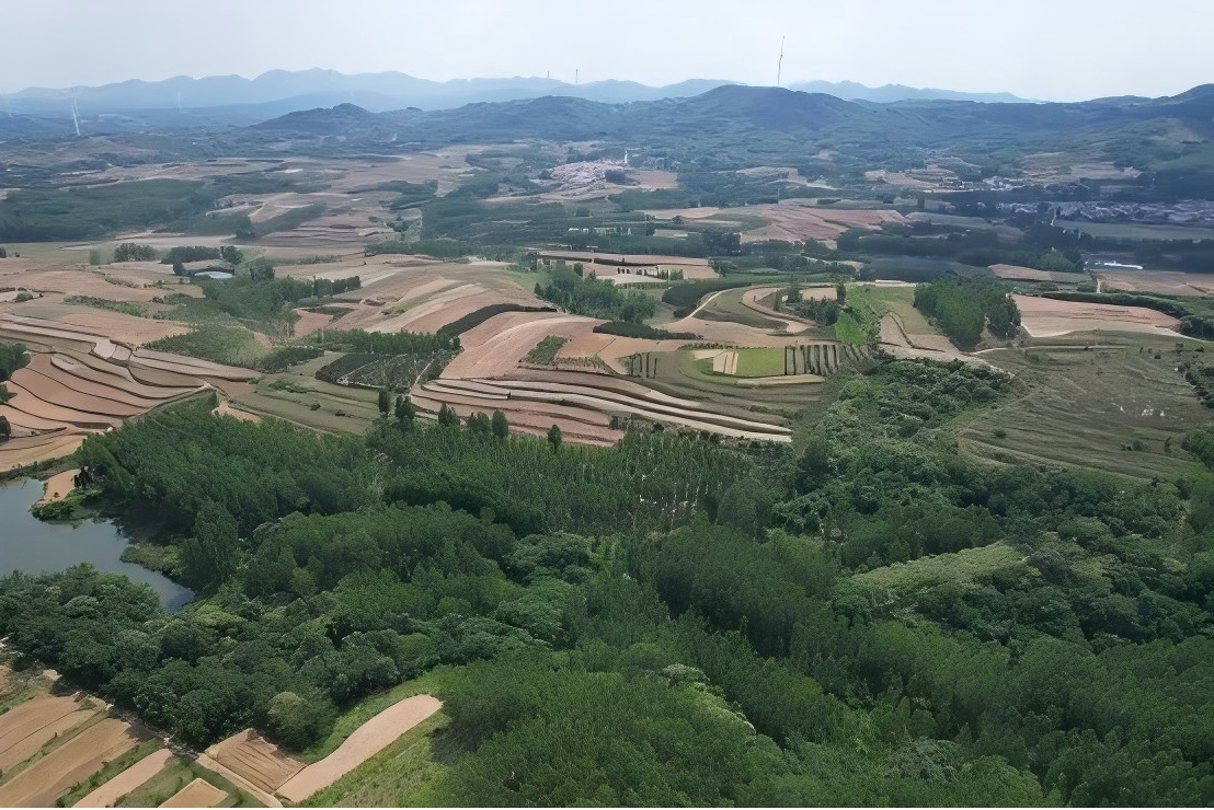《華能濰坊諸城市“千鄉(xiāng)萬村馭風行動”60兆瓦風電項目》水土保持方案順利通過專家評審