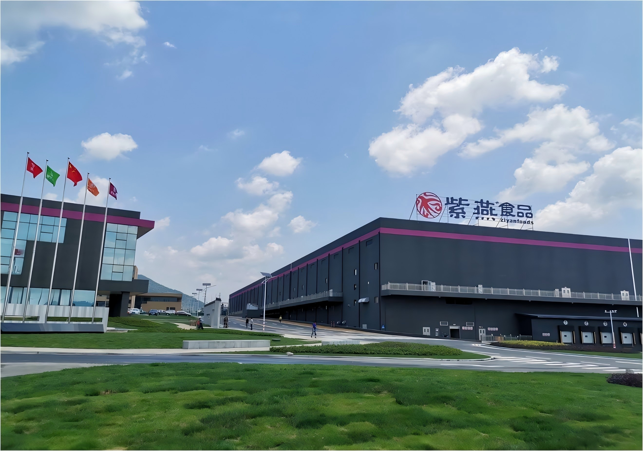 山東紫燕食品水平衡測試技術服務